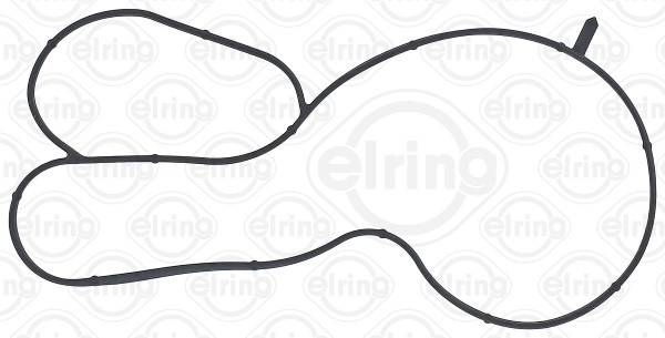 ELRING Dichtung, Wasserpumpe